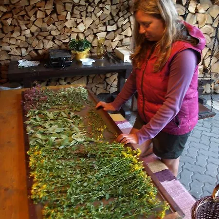 Vidiecky Kubo Pavčina Lehota