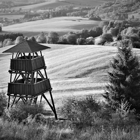 Lejlighed Vidiecky Kubo